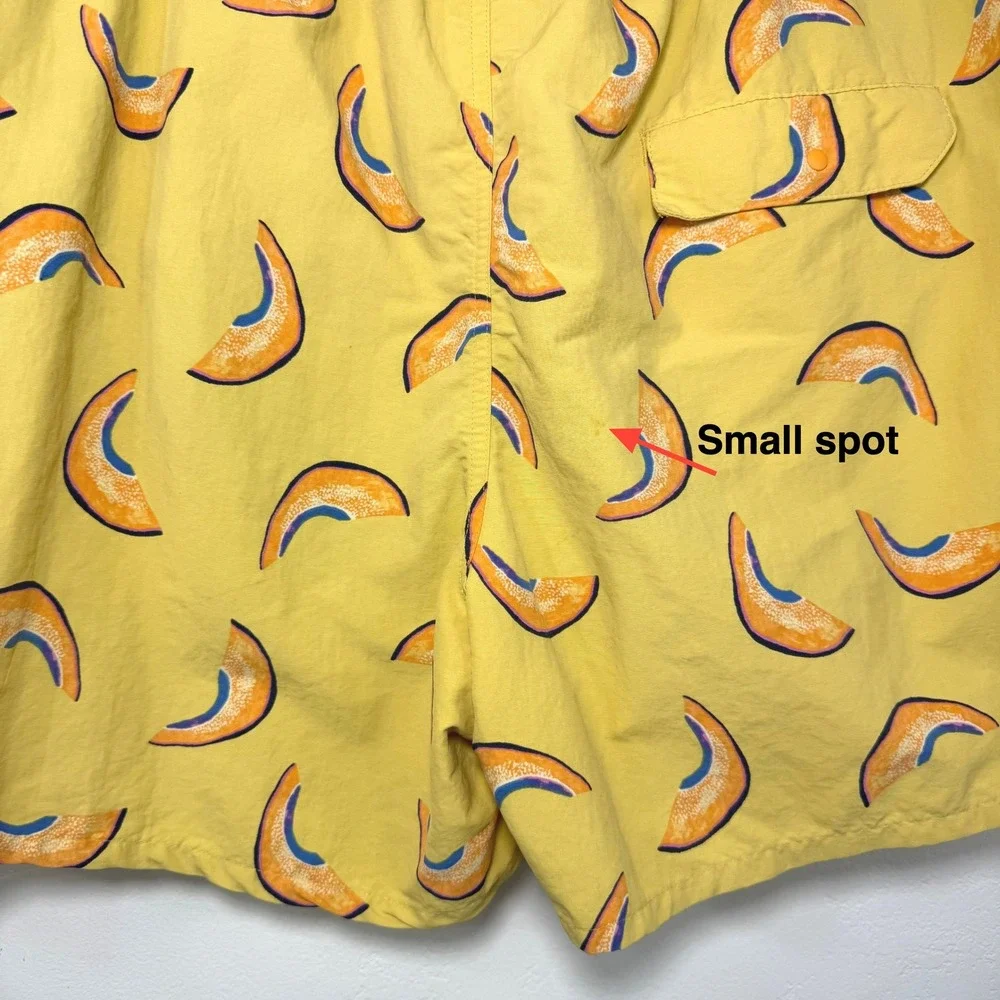 Patagonia baggies shorts